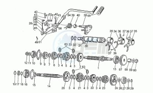 V 35 350 Florida Florida drawing Gear box