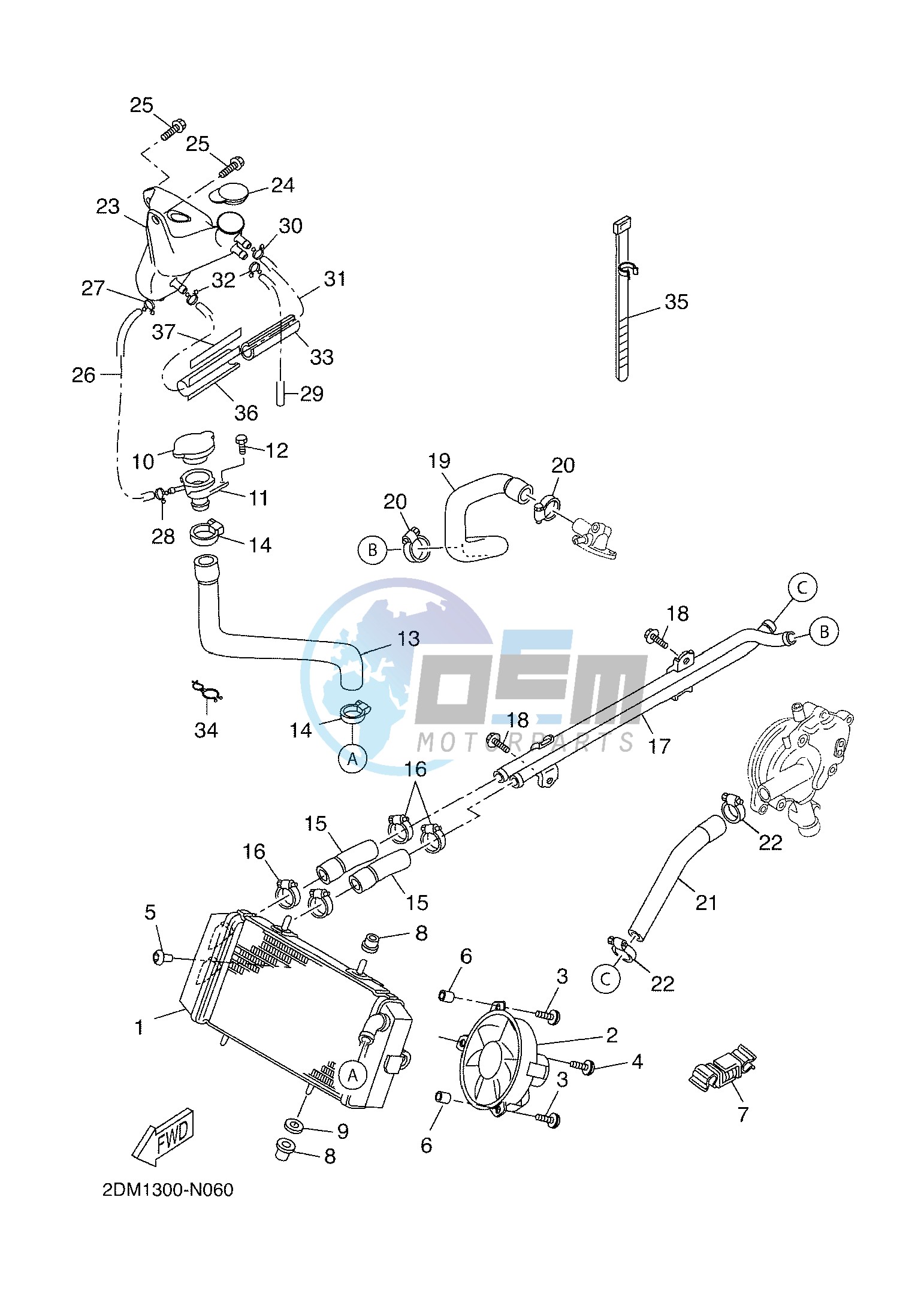 RADIATOR & HOSE