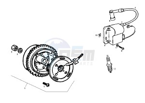 GPR REPLICA RACING EURO2 - 50 cc drawing FLYWHEEL