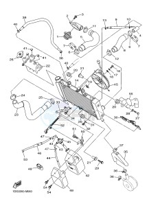 XJ6F ABS 600 DIVERSION F (ABS) (1DG3) drawing RADIATOR & HOSE