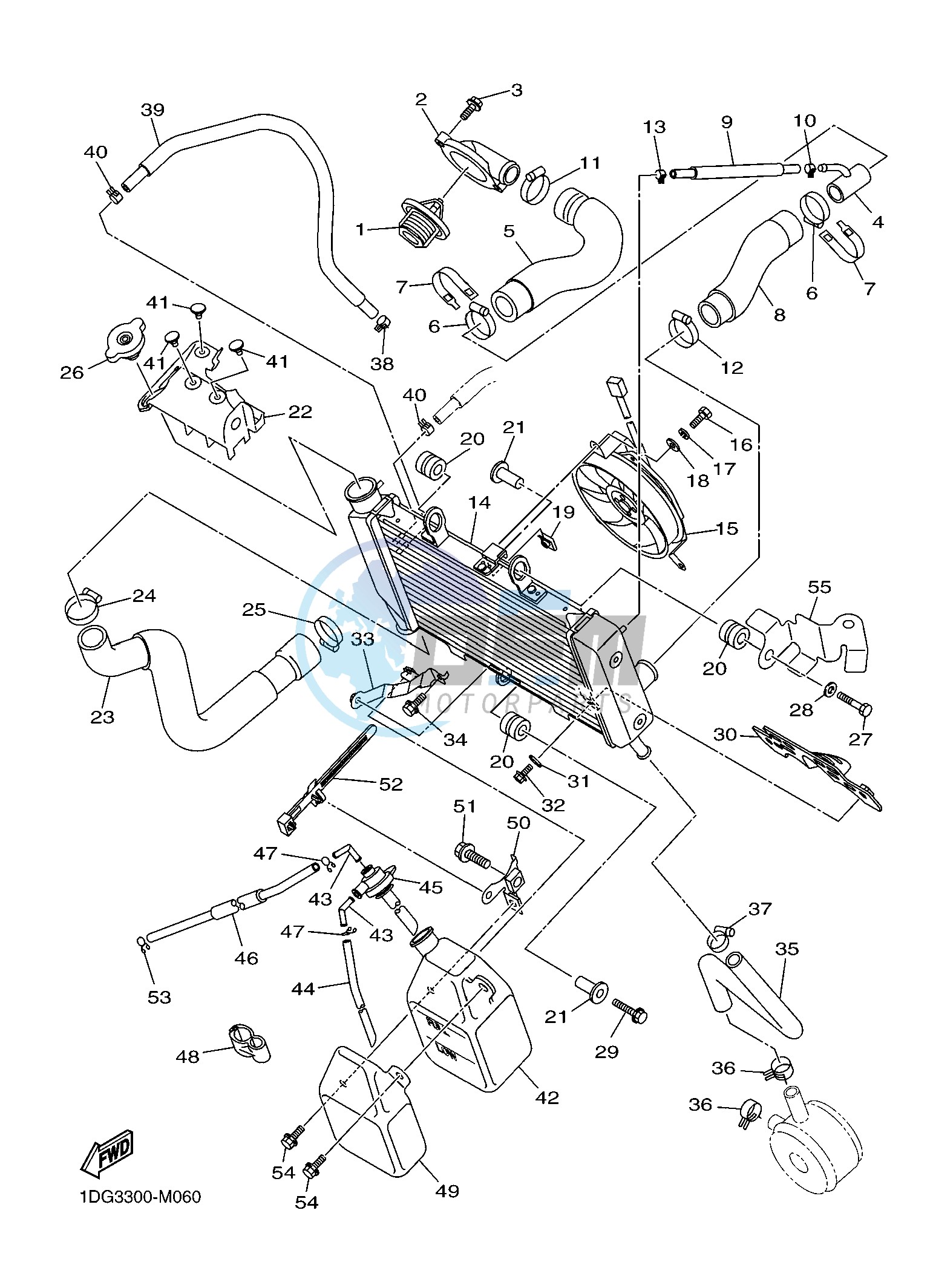 RADIATOR & HOSE