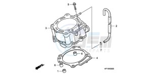 TRX450ER9 Australia - (U / SEL) drawing CYLINDER