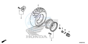 TRX500FE2E TRX500FE2 Europe Direct - (ED) drawing REAR WHEEL