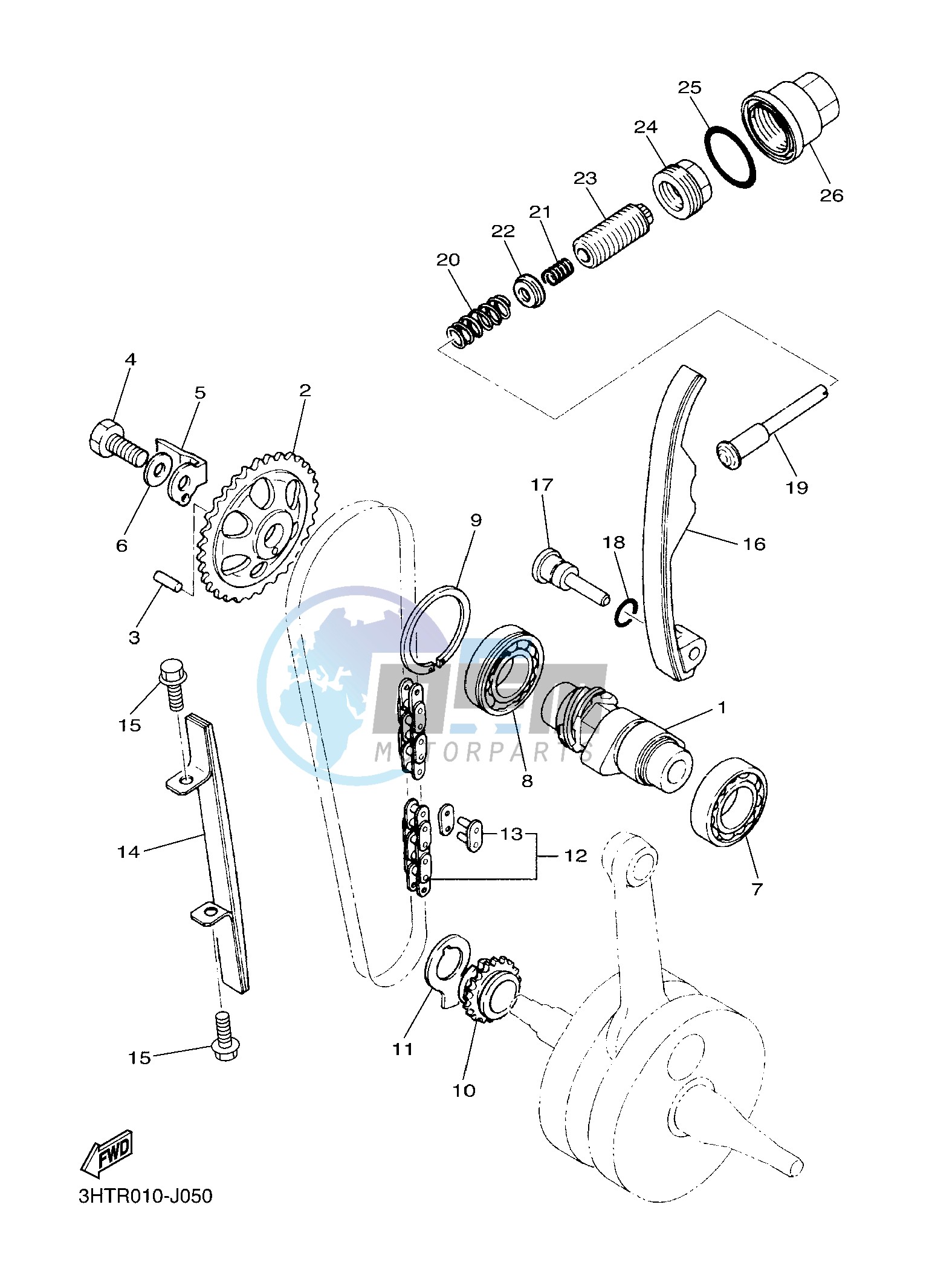 CAMSHAFT & CHAIN