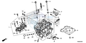 CRF250R Europe Direct - (ED) drawing CYLINDER HEAD