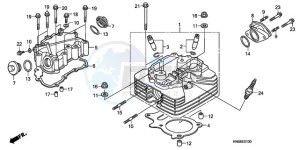 TRX250XA Europe Direct - (ED) drawing CYLINDER HEAD