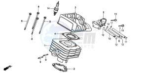 SH50 SH FIFTY drawing CYLINDER/CYLINDER HEAD