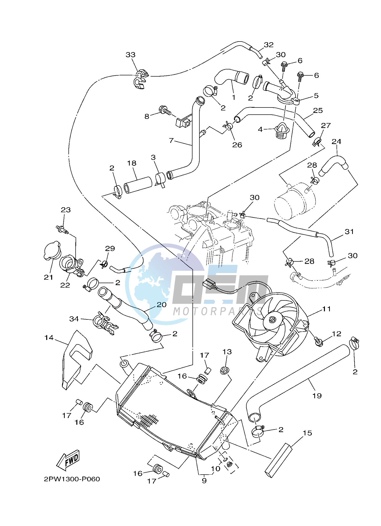 RADIATOR & HOSE