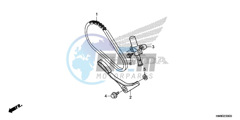 CAM CHAIN/TENSIONER