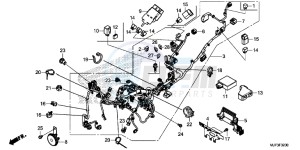 CRF1000DG CRF1000 - Africa Twin - Dual Clutch Europe Direct - (ED) drawing WIRE HARNESS