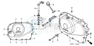 NT700VA UK - (E / MKH) drawing RIGHT CRANKCASE COVER