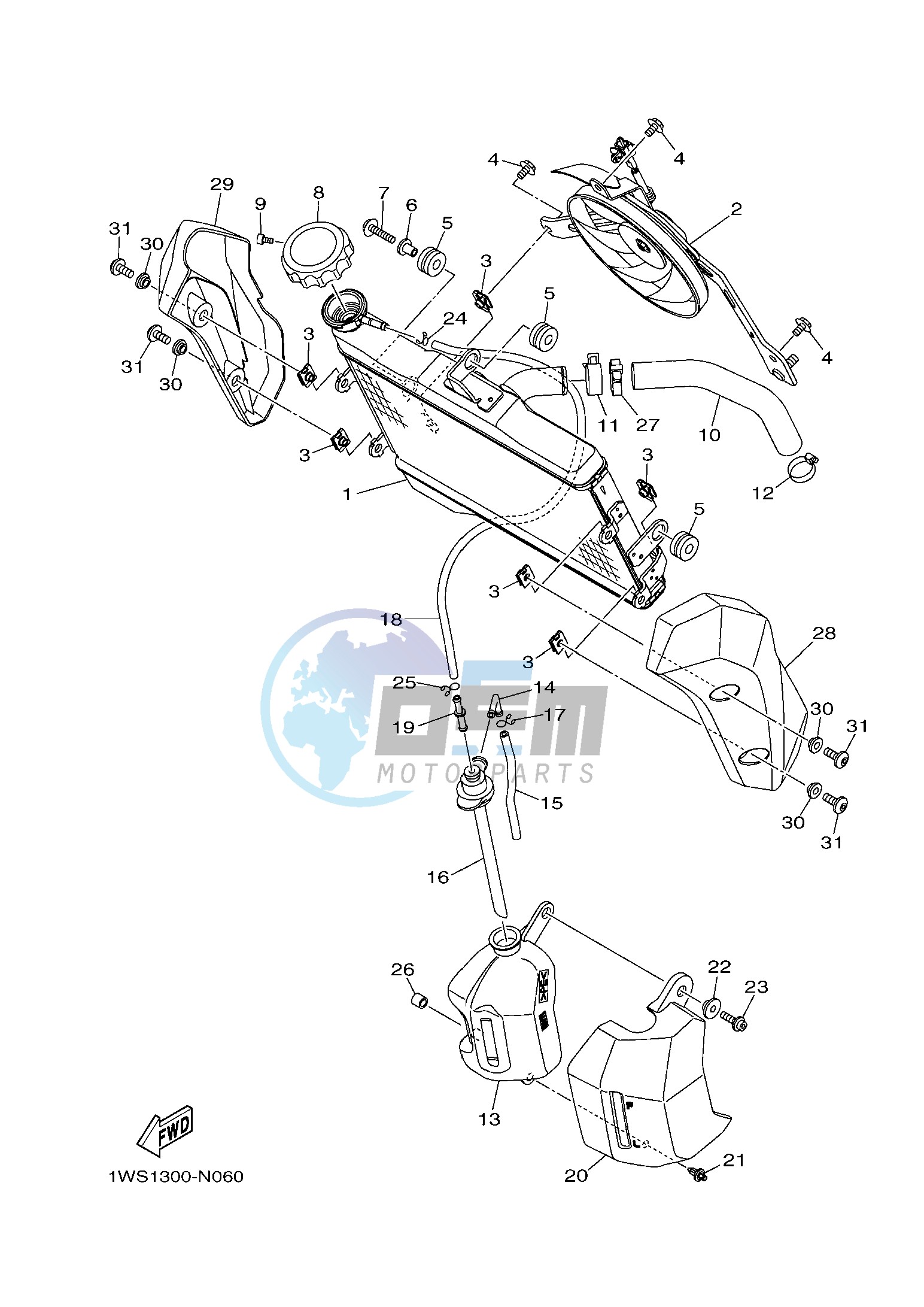 RADIATOR & HOSE