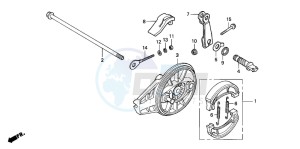 CRF100F drawing REAR BRAKE PANEL