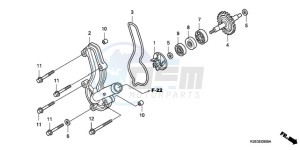 CRF150R9 Europe Direct - (ED) drawing WATER PUMP