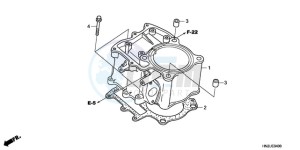 TRX500FAA Europe Direct - (ED) drawing CYLINDER