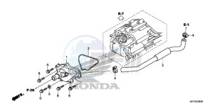 TRX420FPAD TRX420 Europe Direct - (ED) drawing WATER PUMP COVER