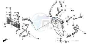 TRX400EX SPORTRAX 400 EX drawing OIL COOLER