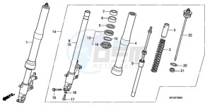 CB600FA France - (F / CMF) drawing FRONT FORK