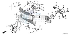 NC700SDC drawing RADIATOR