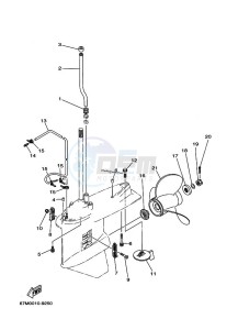 Z200PETOL drawing LOWER-CASING-x-DRIVE-2