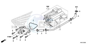 TRX500FE2G TRX500 Europe Direct - (ED) drawing WATER PUMP COVER