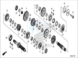 CRF450RXH Europe Direct - (ED) drawing TRANSMISSION