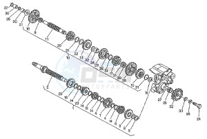 MITO EVOL.125 drawing GEAR BOX