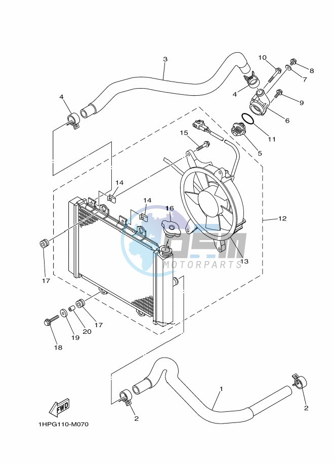 RADIATOR & HOSE