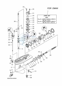 E60HMHDL drawing LOWER-CASING-x-DRIVE-2