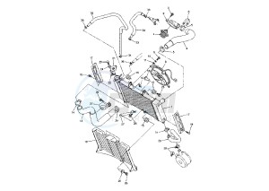 FZ6 FAZER 600 drawing RADIATOR-HOSE