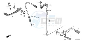 CBR1000RRA Australia - (U) drawing PEDAL