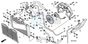 CB600FA Australia - (U) drawing RADIATOR