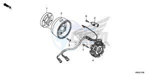 TRX250TEG TRX250T Europe Direct - (ED) drawing GENERATOR