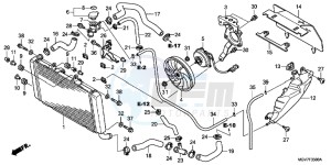 CBR600FB drawing RADIATOR