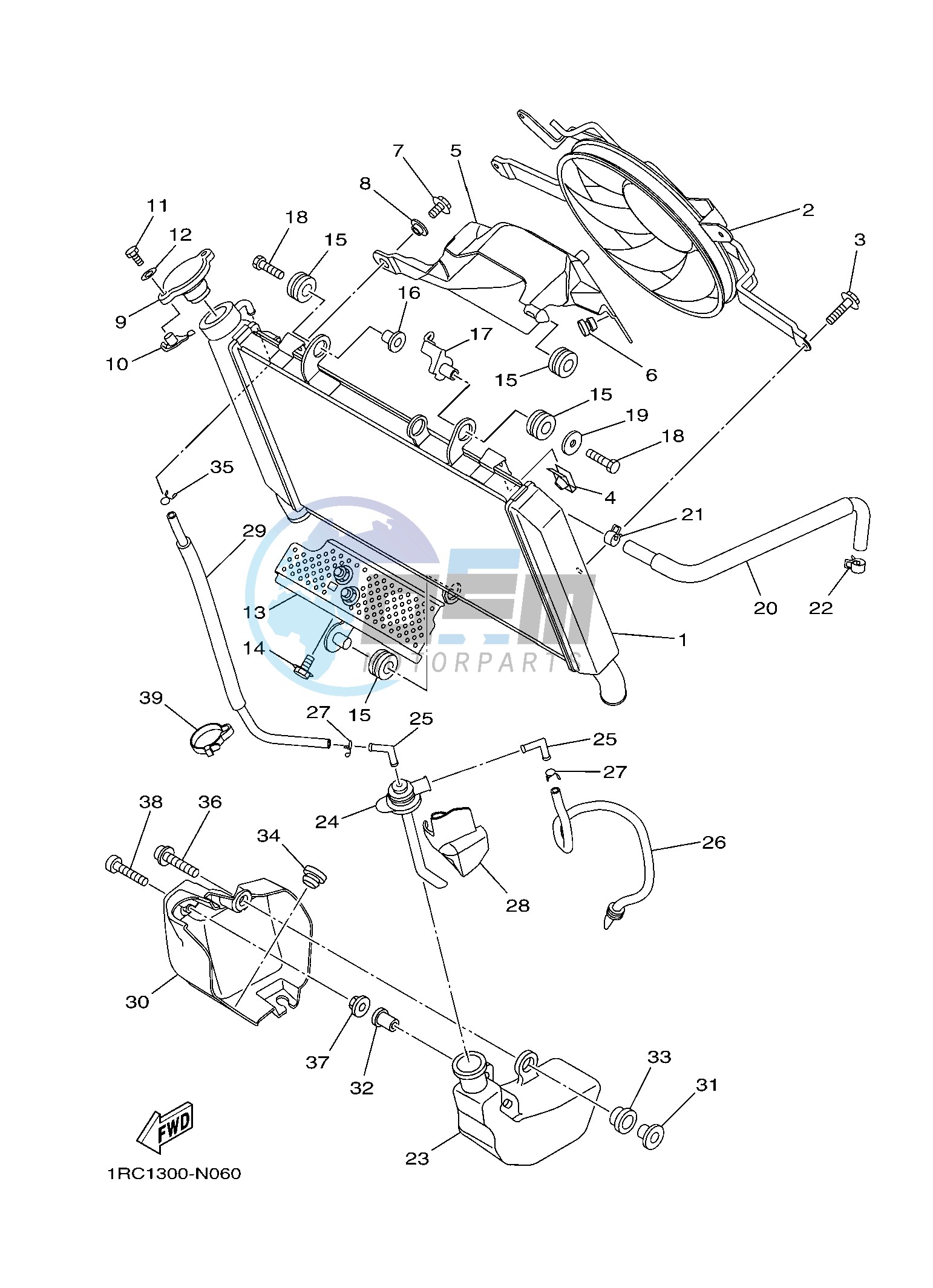 RADIATOR & HOSE