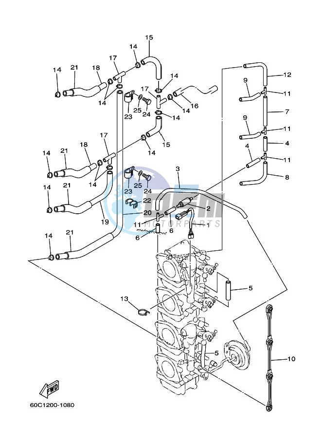 CARBURETOR-2