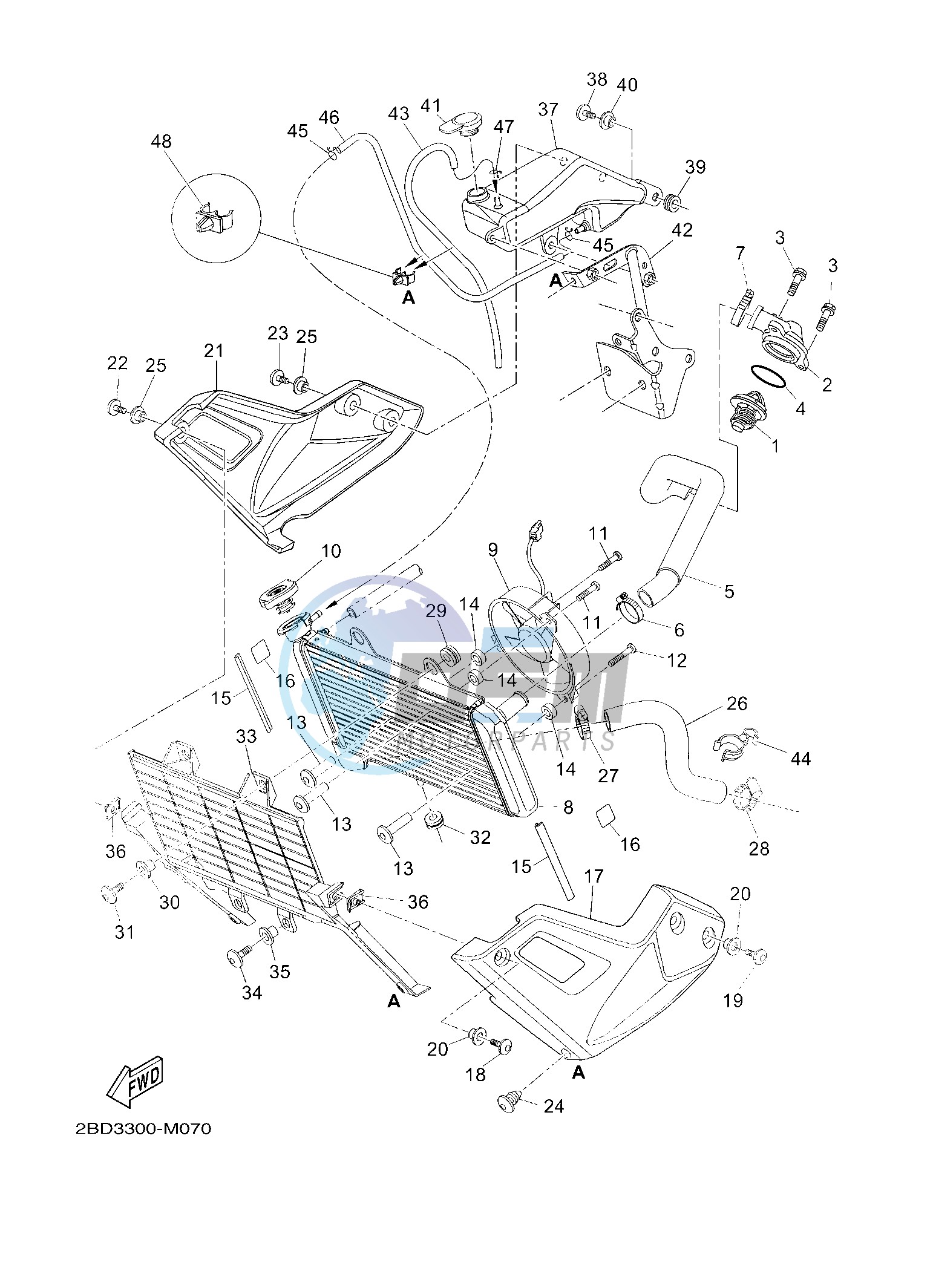 RADIATOR & HOSE