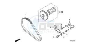 TRX420FA9 Australia - (U) drawing CAM CHAIN/TENSIONER