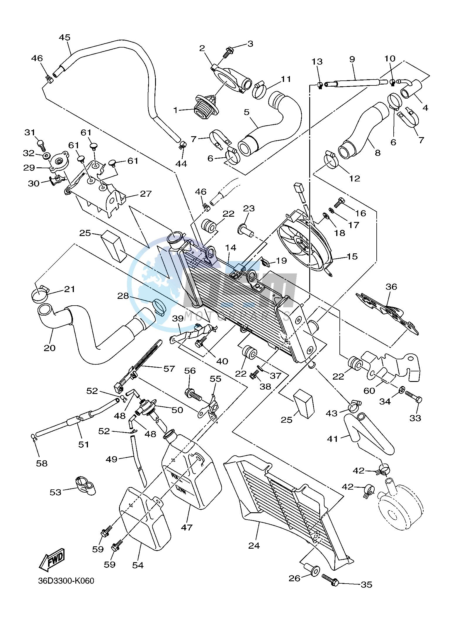 RADIATOR & HOSE