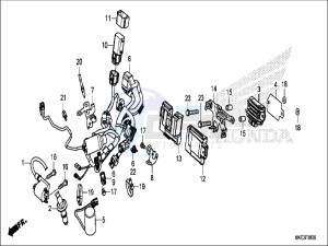 CRF450RXH Europe Direct - (ED) drawing WIRE HARNESS