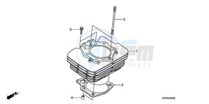 TRX500FMA Australia - (U) drawing CYLINDER