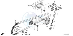 CRF50FB CRF50F ED drawing CAM CHAIN/ TENSIONER