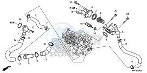 CBR1000S1 2ED - (2ED) drawing THERMOSTAT