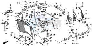 CBR600RA9 France - (F / ABS CMF) drawing RADIATOR