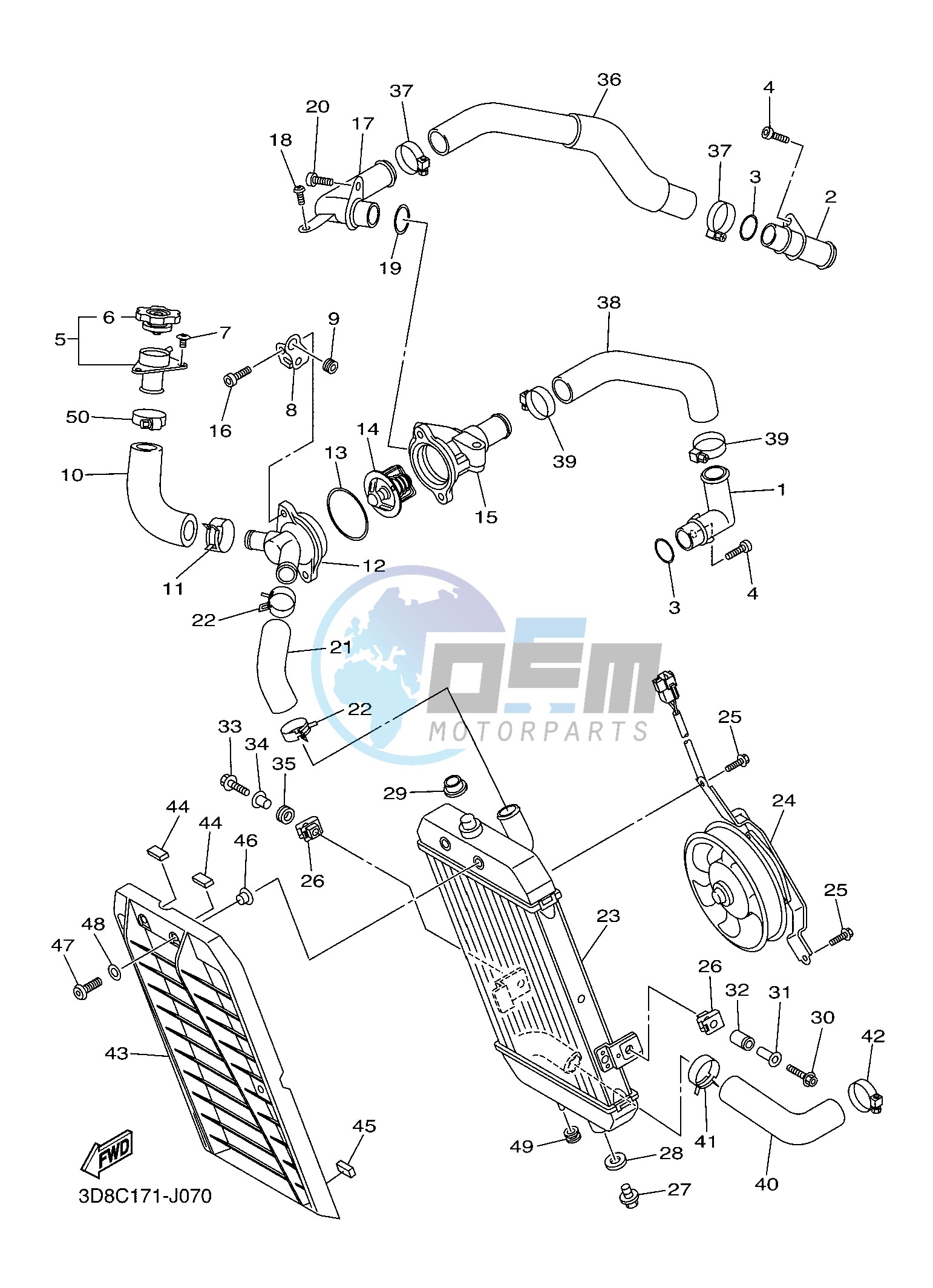 RADIATOR & HOSE