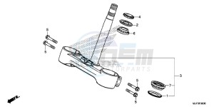 CRF1000G CRF1000 - Africa Twin Europe Direct - (ED) drawing STEERING STEM