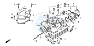 TRX450FM drawing CYLINDER HEAD