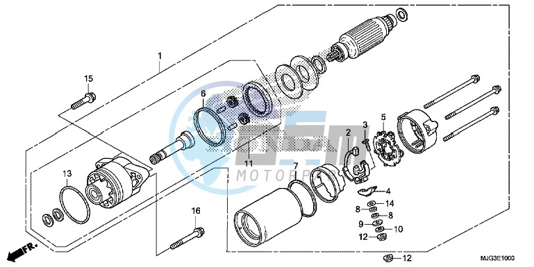 STARTER MOTOR (1)