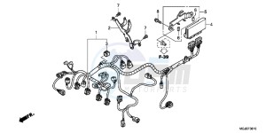 CBF1000FAC drawing SUB HARNESS