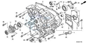 GL18009 France - (F / CMF) drawing REAR CASE